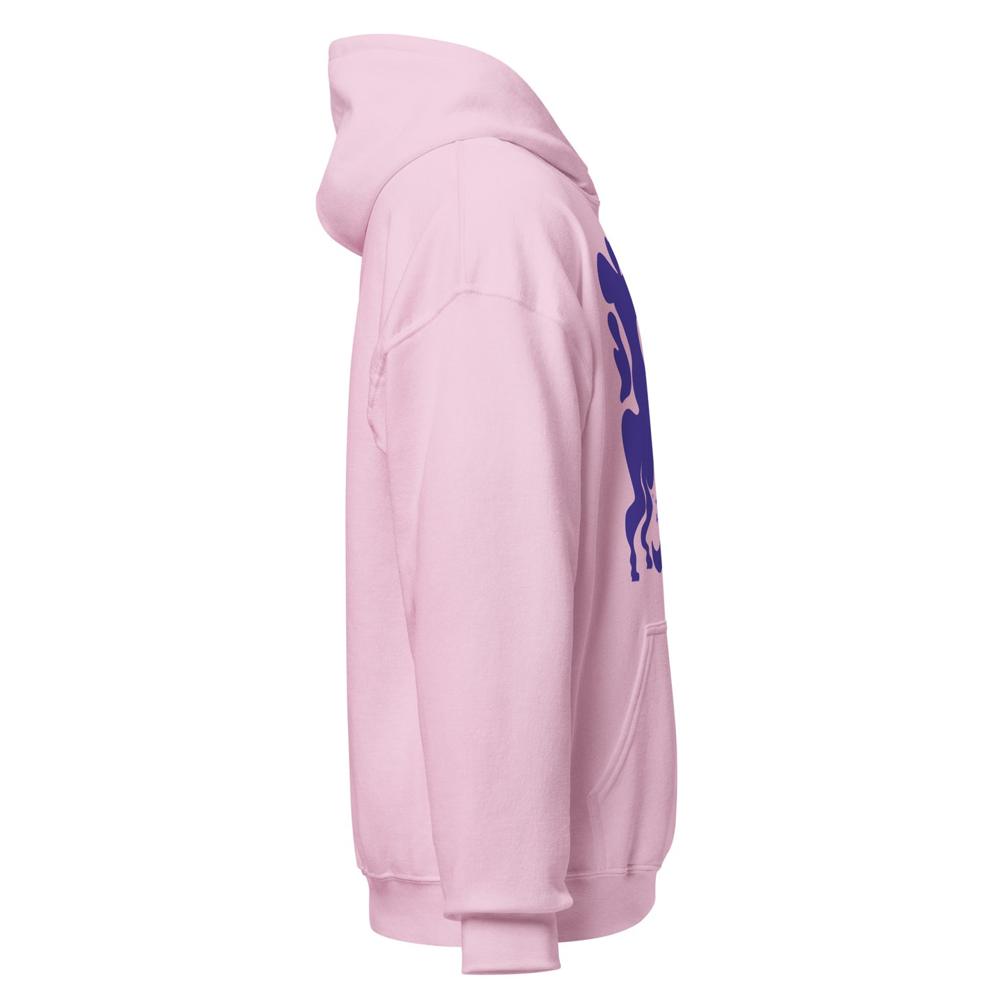 Morphed Sagittarius Hoodie