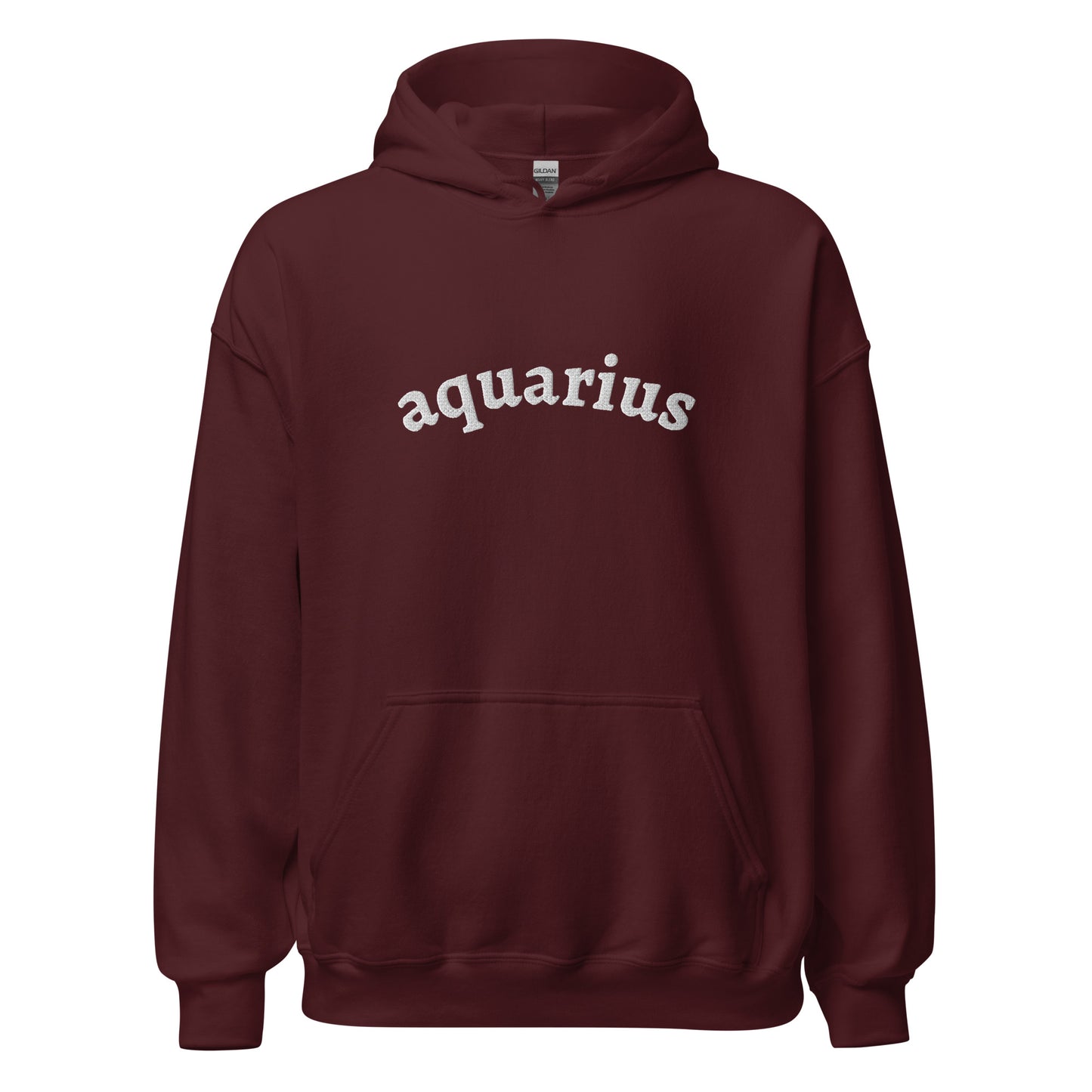 Embroidered Aquarius Hoodie
