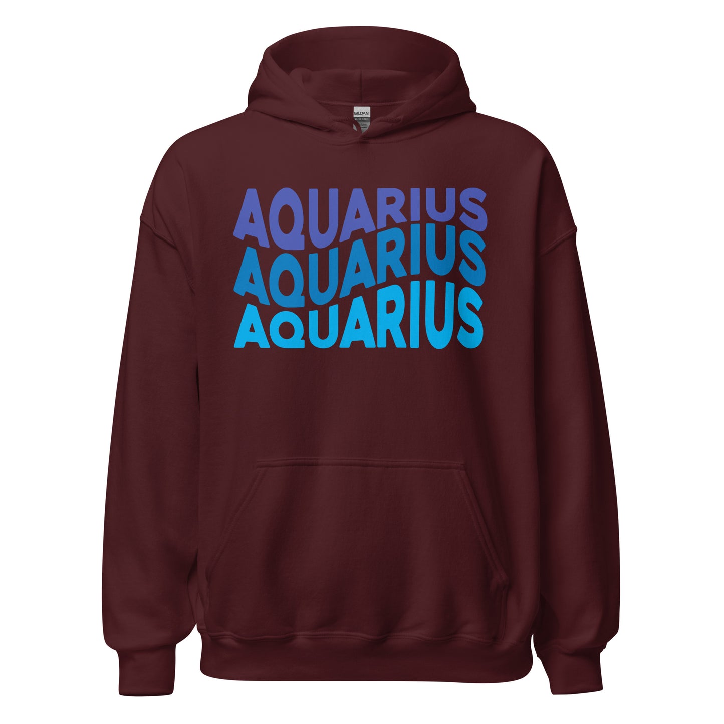 Air Vibes Aquarius Hoodie