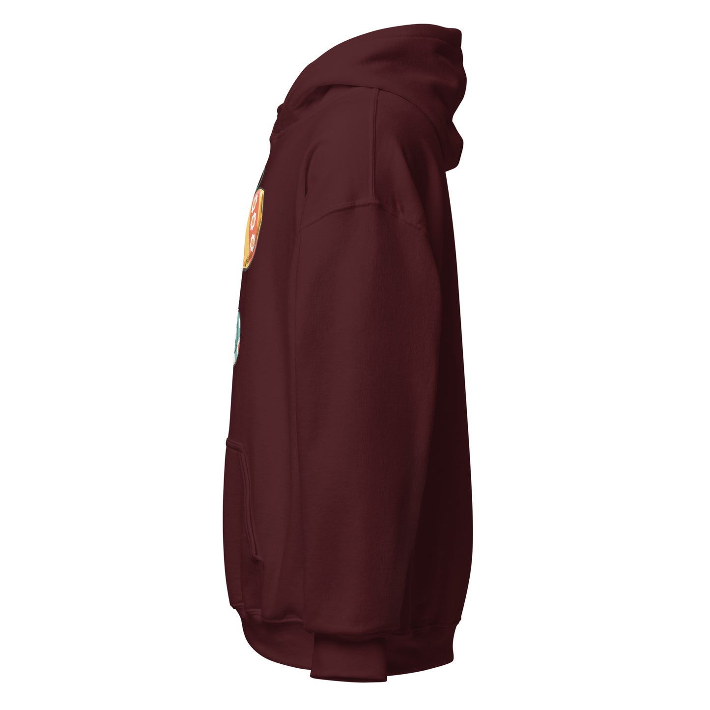 Water-Bearer Aquarius Hoodie