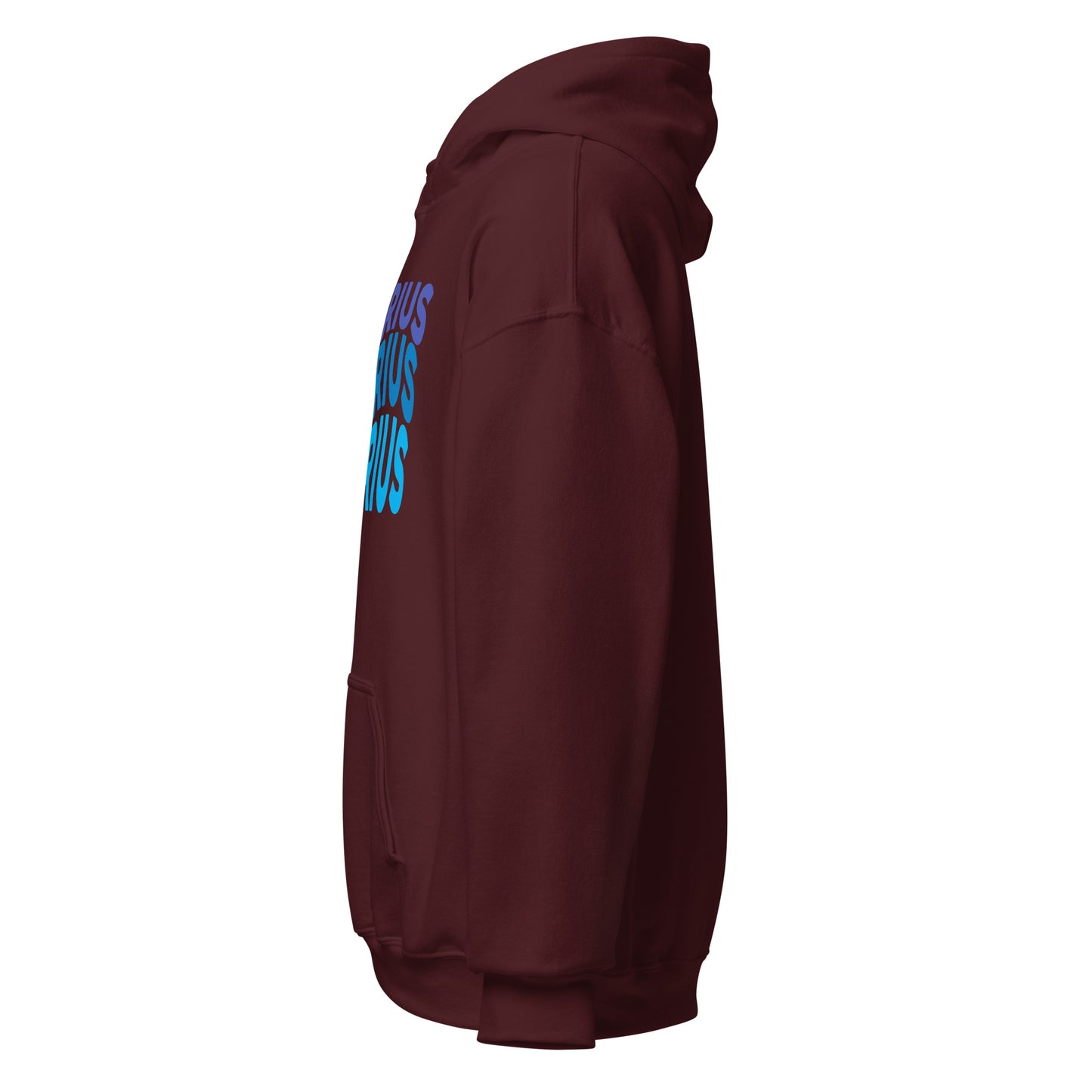 Air Vibes Aquarius Hoodie