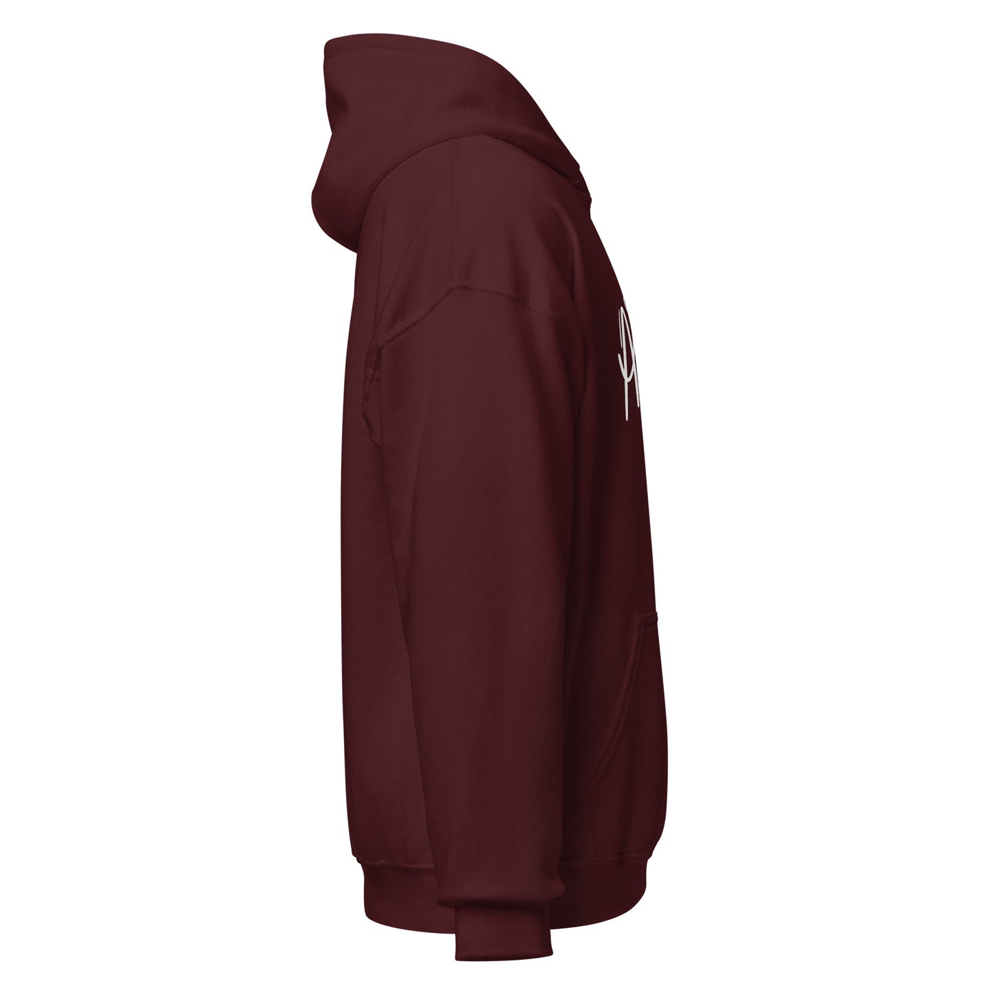 Its Me, Aries Hoodie