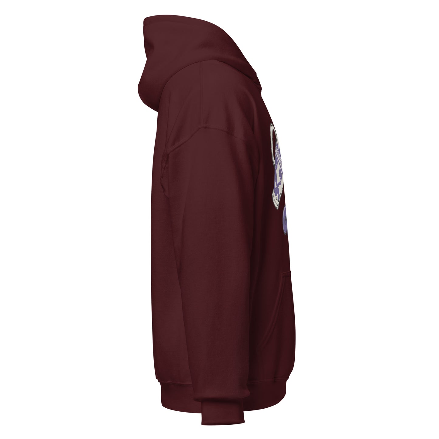 Traditions Aquarius Hoodie