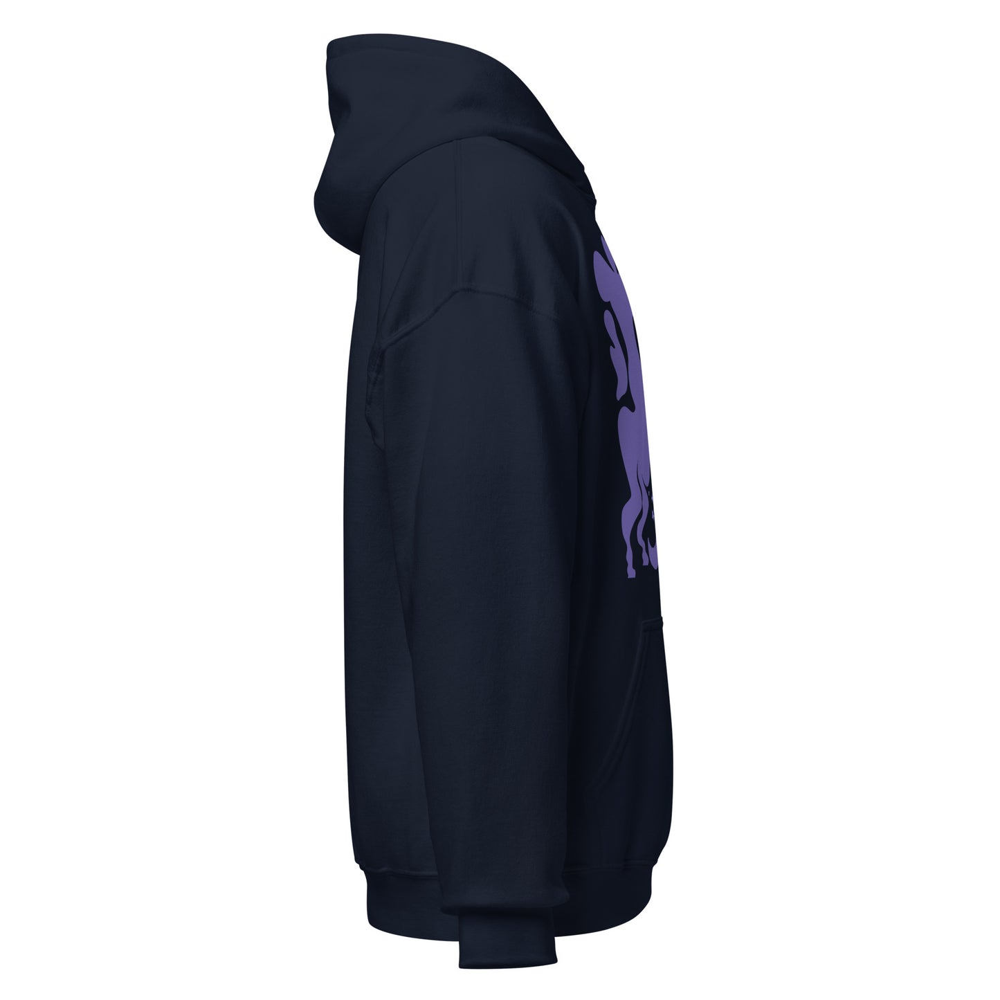 Morphed Sagittarius Hoodie