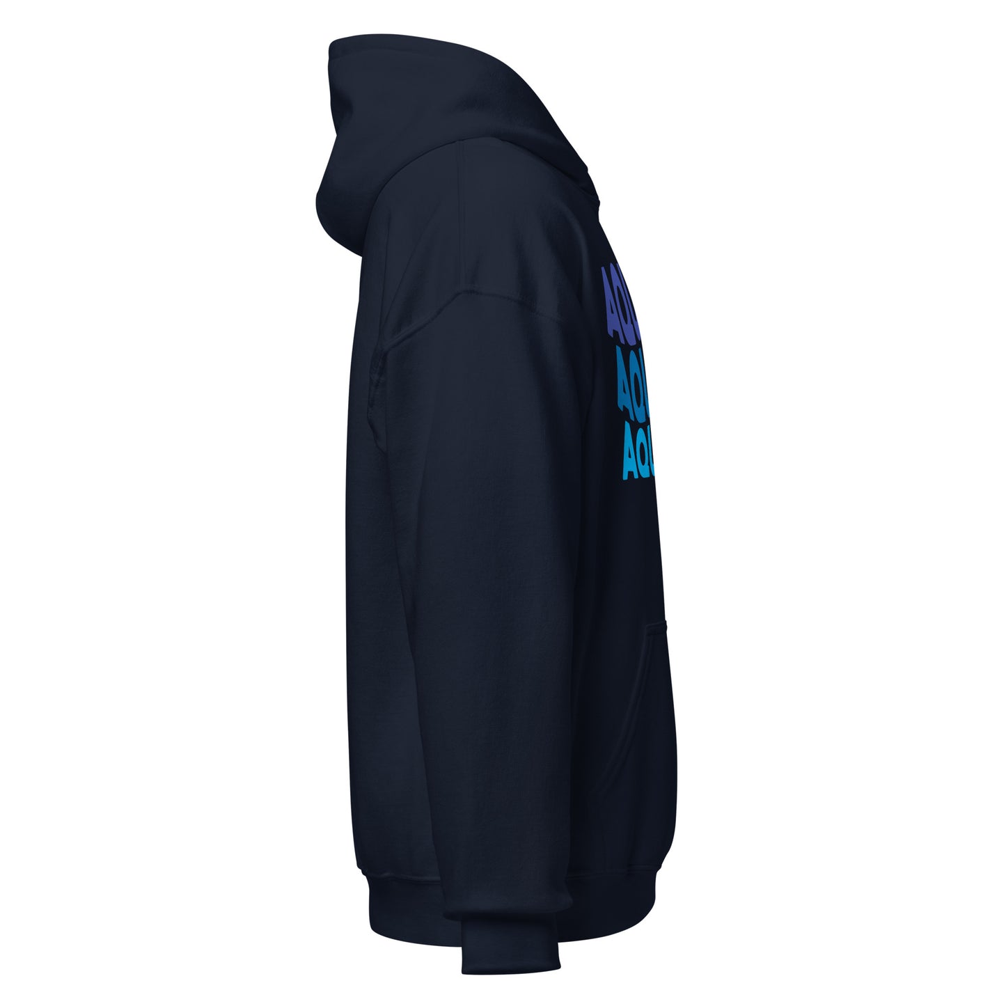 Air Vibes Aquarius Hoodie
