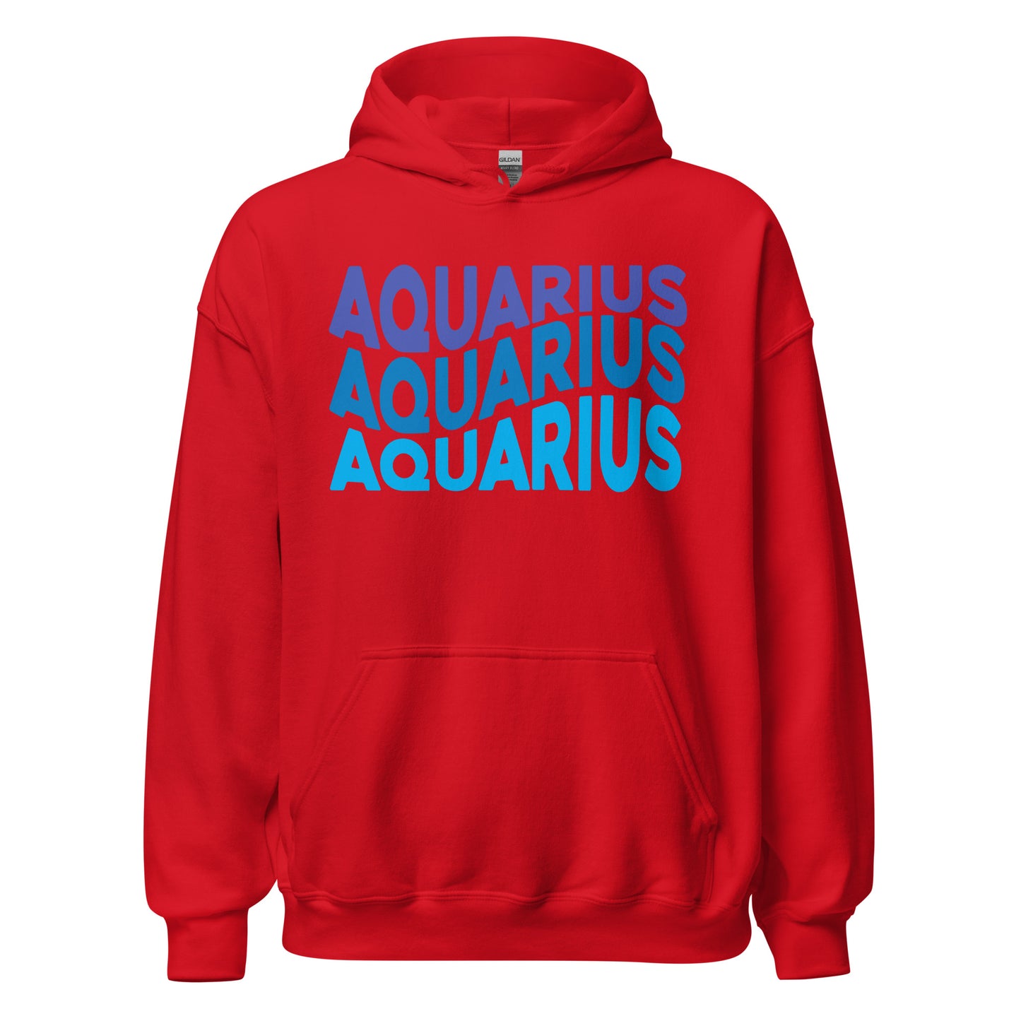 Air Vibes Aquarius Hoodie