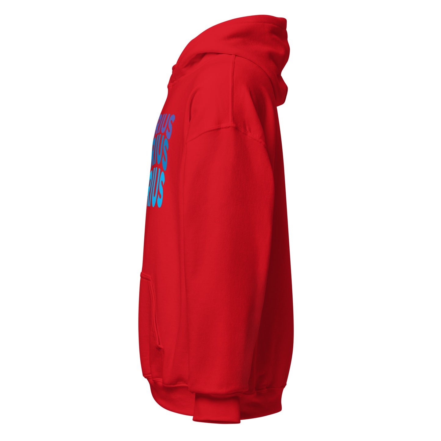 Air Vibes Aquarius Hoodie