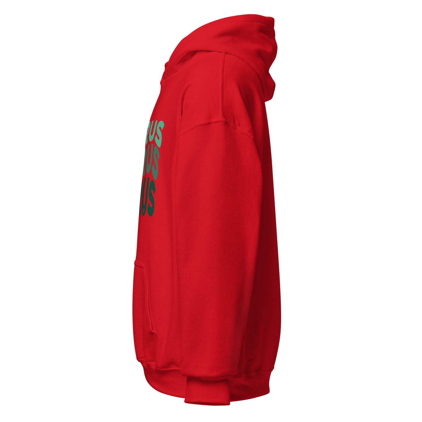 Earth Vibes Taurus Hoodie