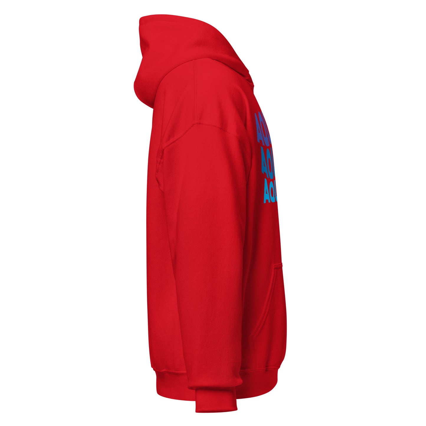Air Vibes Aquarius Hoodie