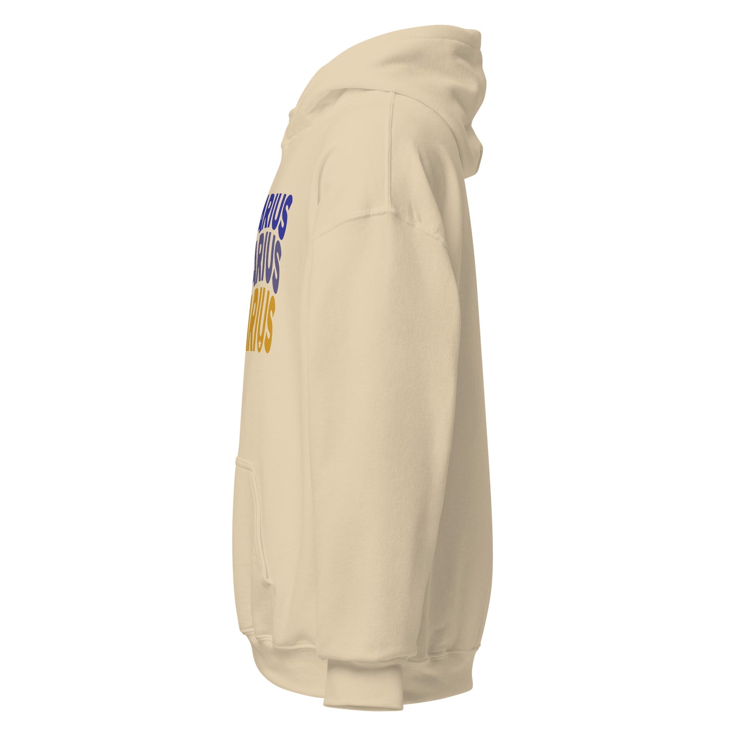 Fire Vibes Sagittarius Hoodie