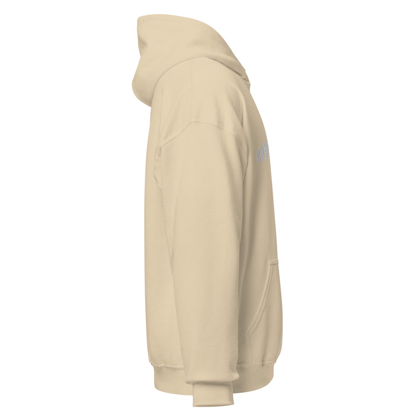 Capricorn Embroidered Hoodie