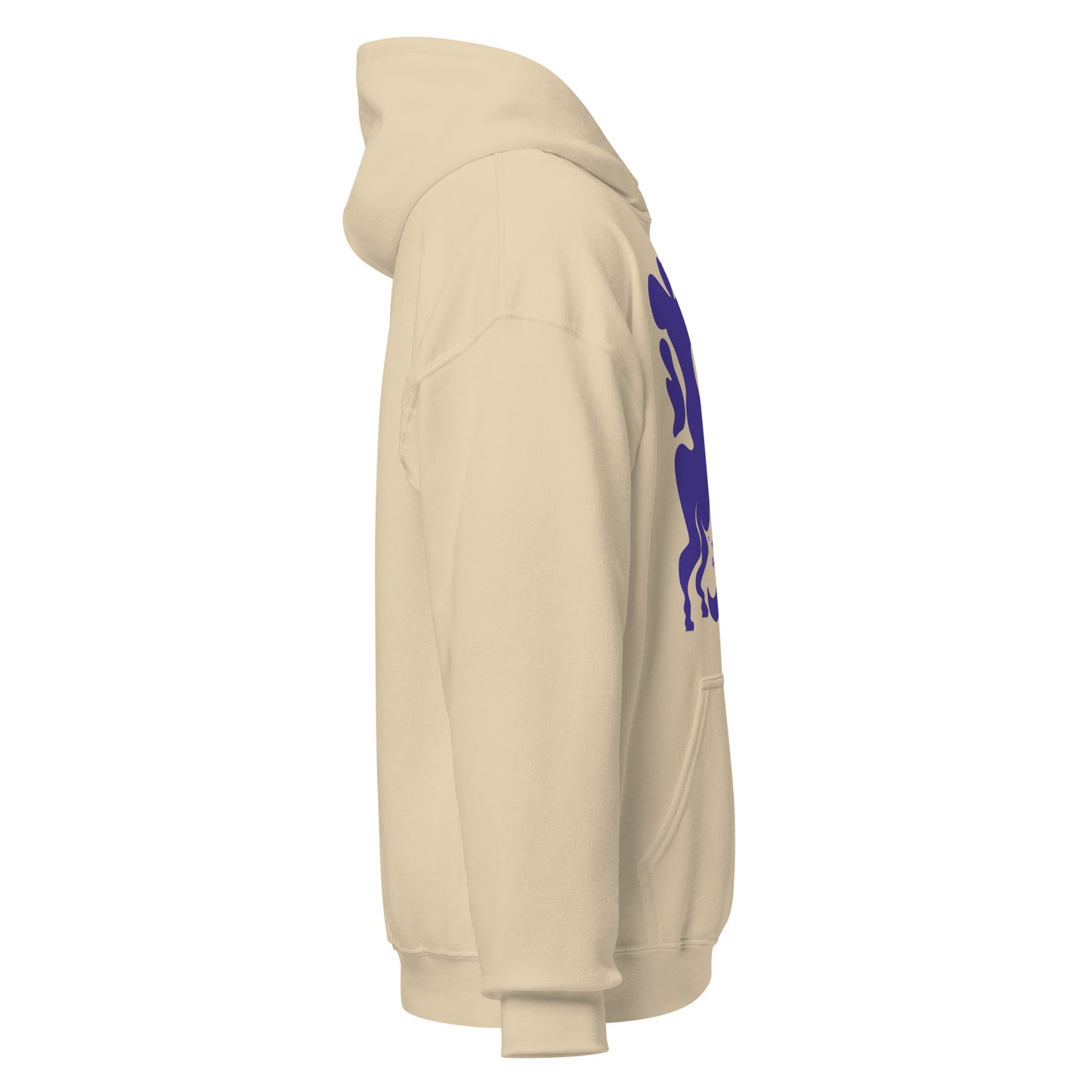 Morphed Sagittarius Hoodie