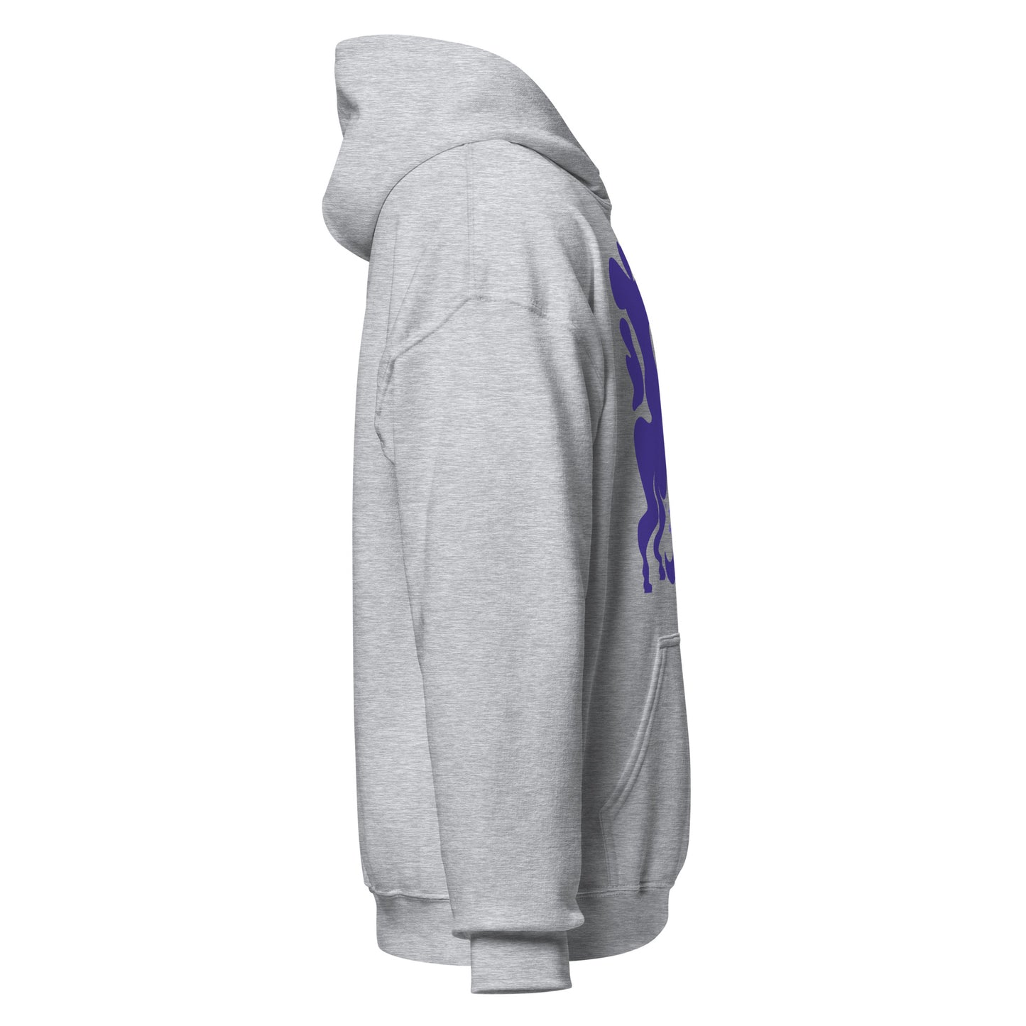 Morphed Sagittarius Hoodie