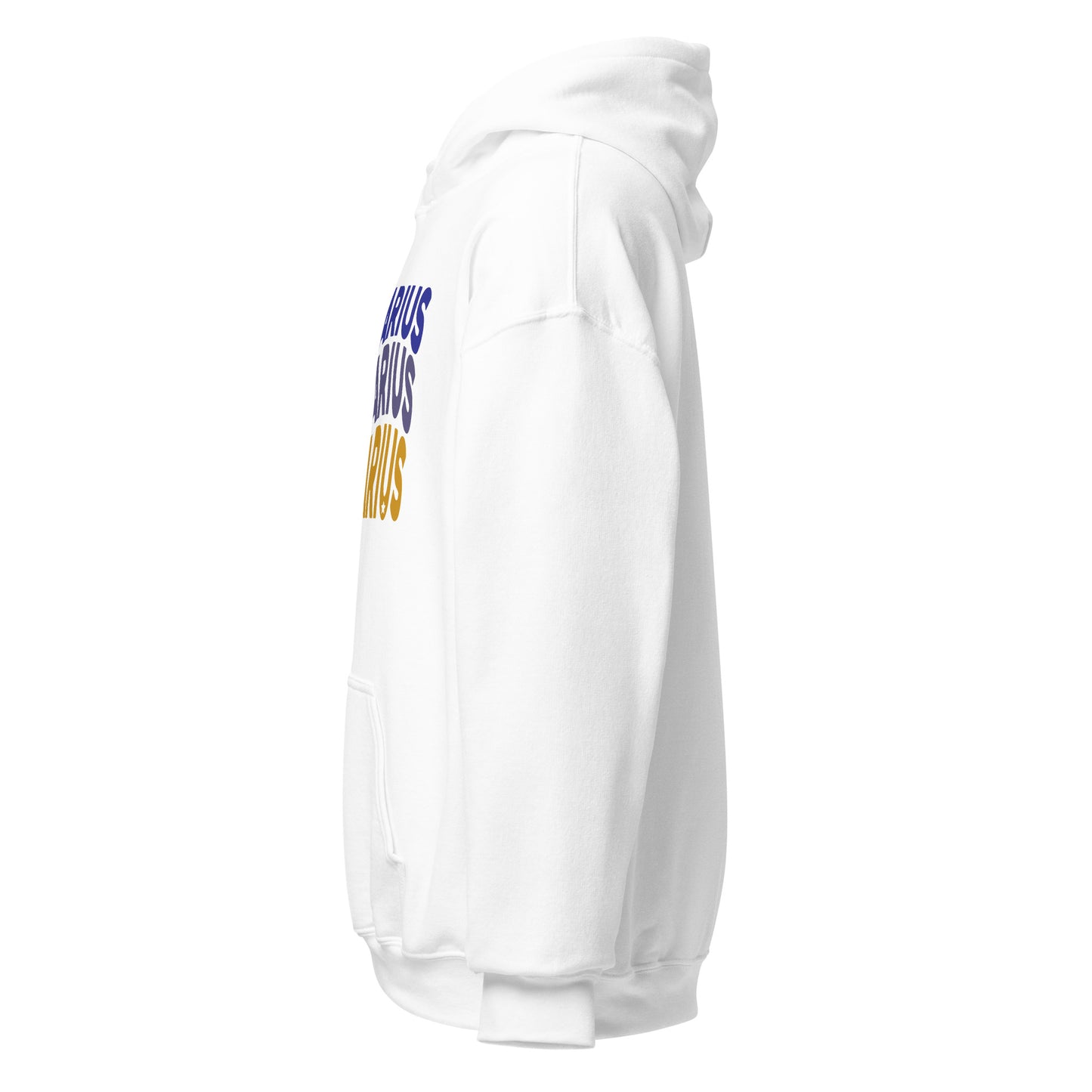 Fire Vibes Sagittarius Hoodie
