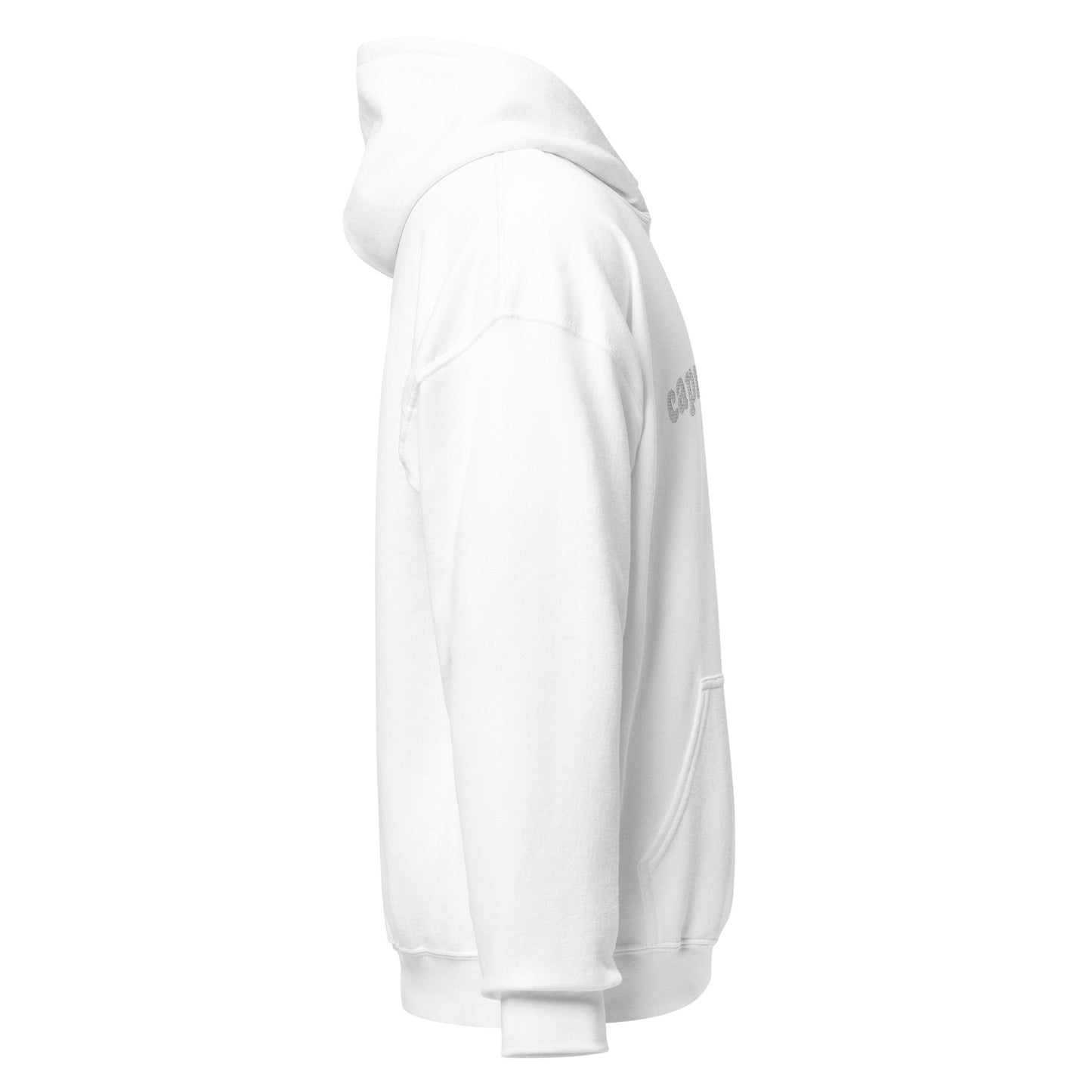 Capricorn Embroidered Hoodie