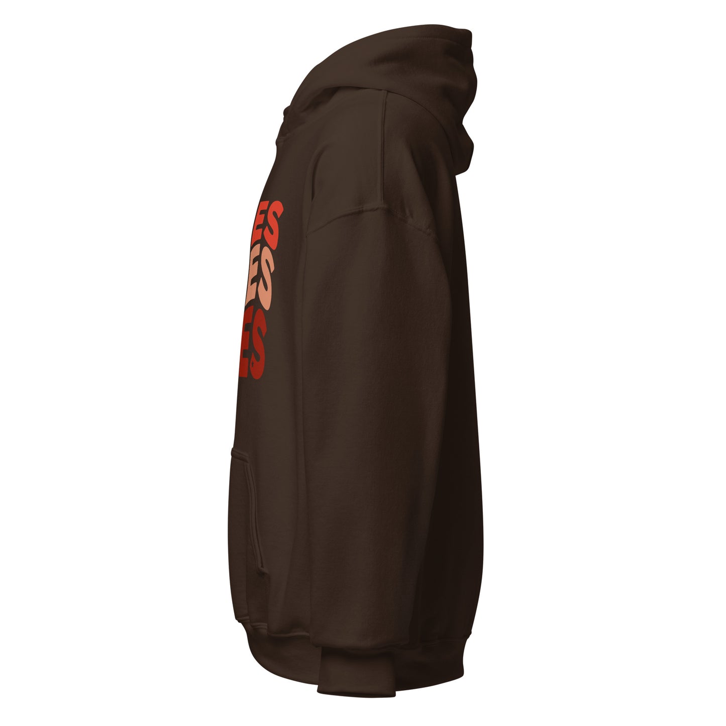 Fire Vibes Aries Hoodie