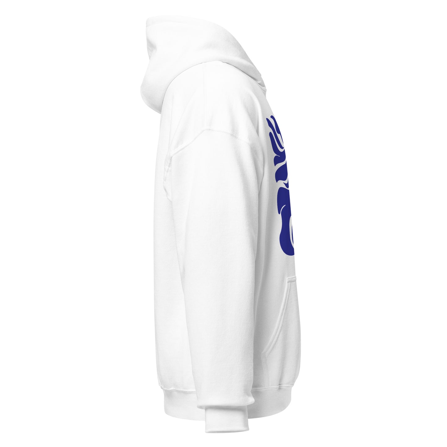Morphed Aquarius Hoodie