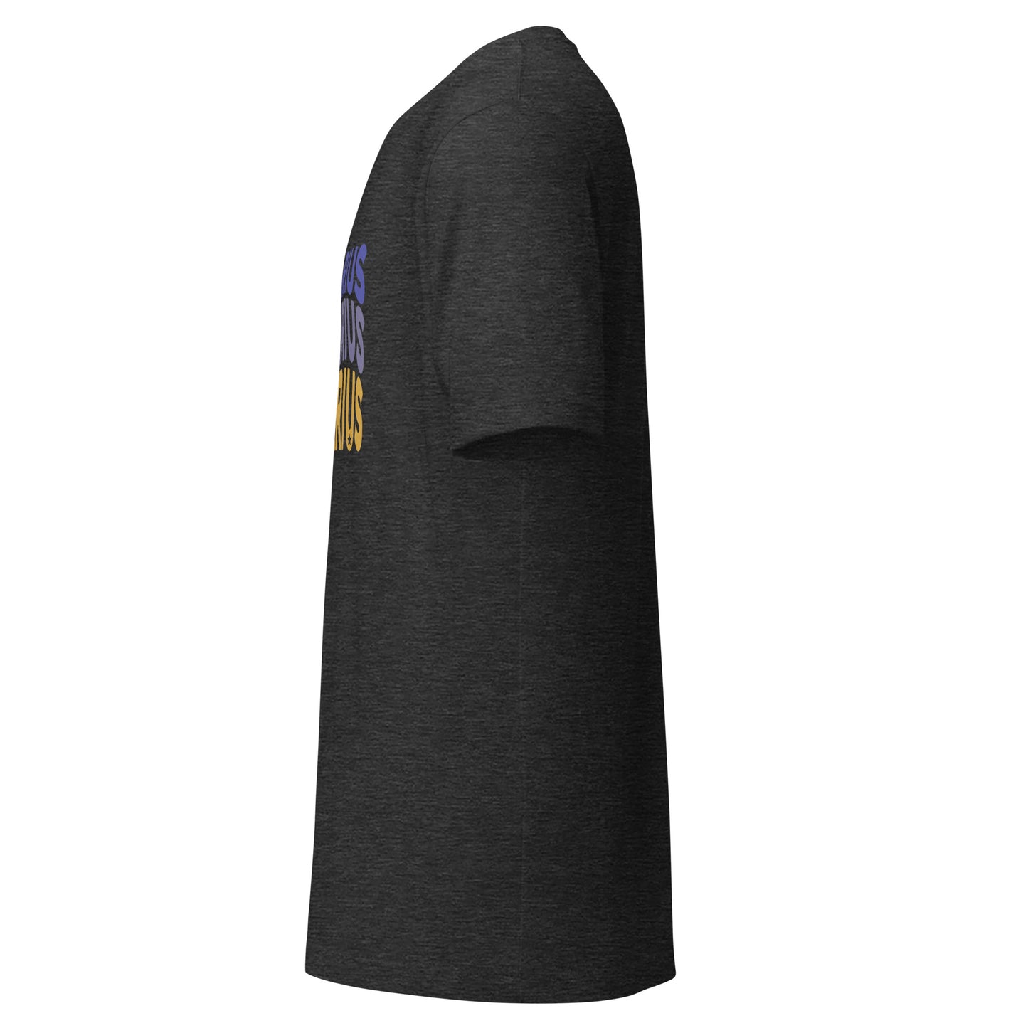 Fire Vibes Sagittarius Shirt